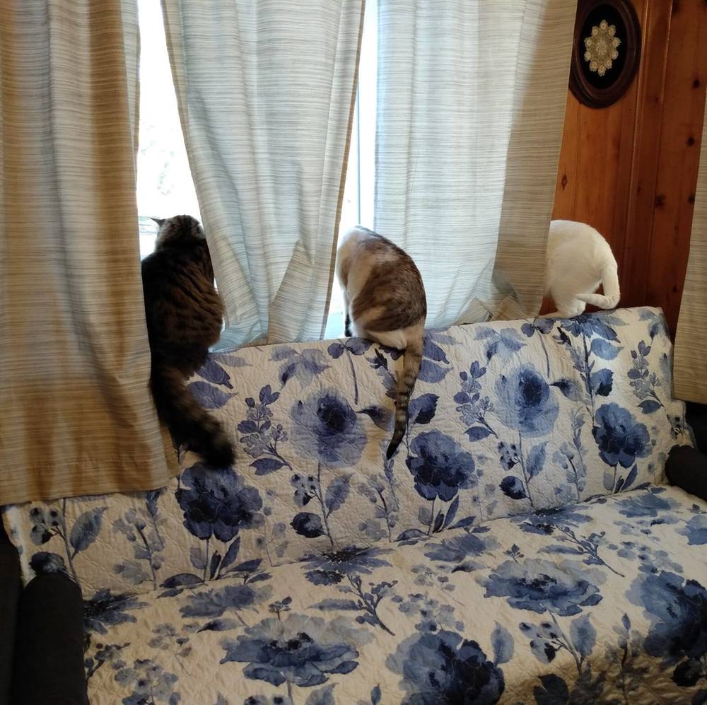 Meet your Posher, Jenna